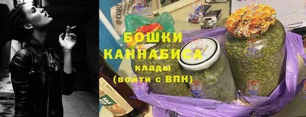 индика Бронницы